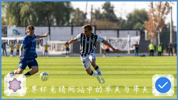 世界杯竞猜网站中的单关与串关下注有什么关键区别？