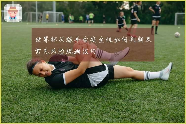 世界杯买球平台安全性如何判断及常见风险规避技巧