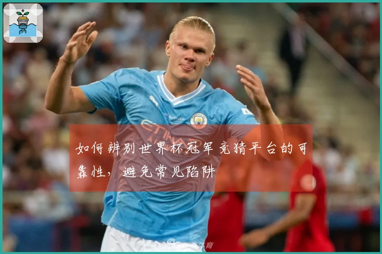 如何辨别世界杯冠军竞猜平台的可靠性，避免常见陷阱