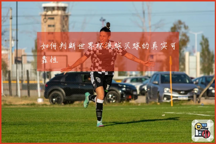 如何判断世界杯滚球买球的真实可靠性