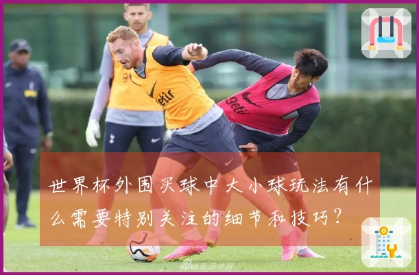 世界杯外围买球中大小球玩法有什么需要特别关注的细节和技巧？