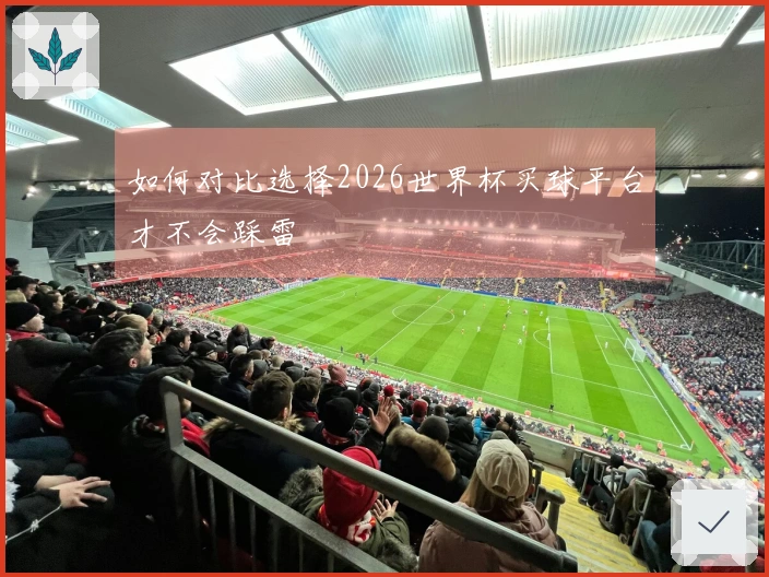 如何对比选择2026世界杯买球平台才不会踩雷
