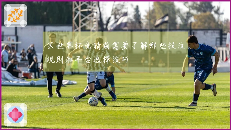 买世界杯竞猜前需要了解哪些投注规则和平台选择技巧
