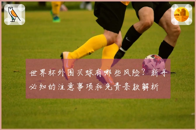 世界杯外围买球有哪些风险？新手必知的注意事项和免责条款解析