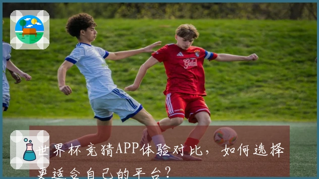 世界杯竞猜APP体验对比，如何选择更适合自己的平台？