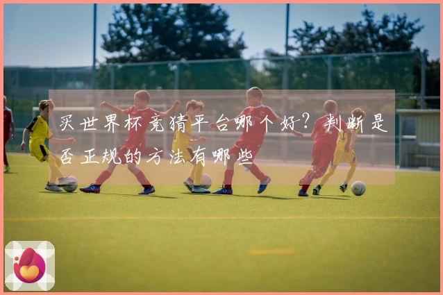买世界杯竞猜平台哪个好？判断是否正规的方法有哪些