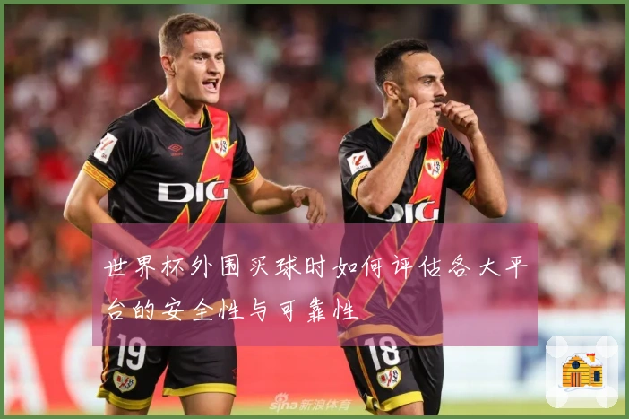 世界杯外围买球时如何评估各大平台的安全性与可靠性