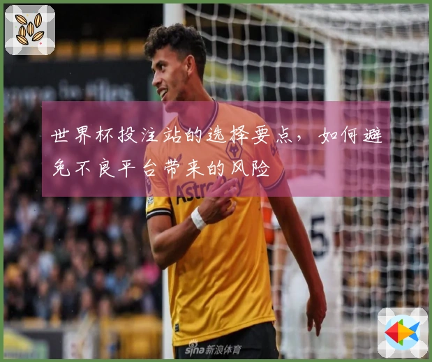 世界杯投注站的选择要点，如何避免不良平台带来的风险