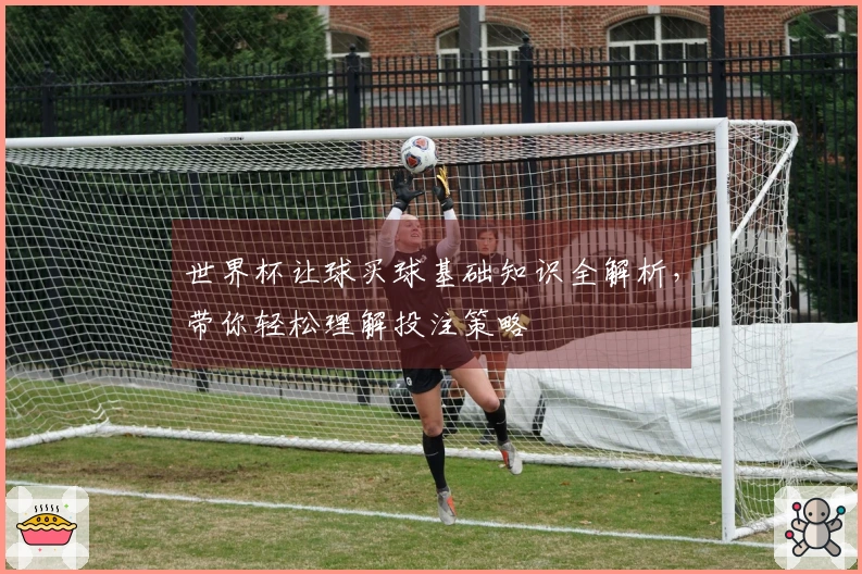 世界杯让球买球基础知识全解析,带你轻松理解投注策略