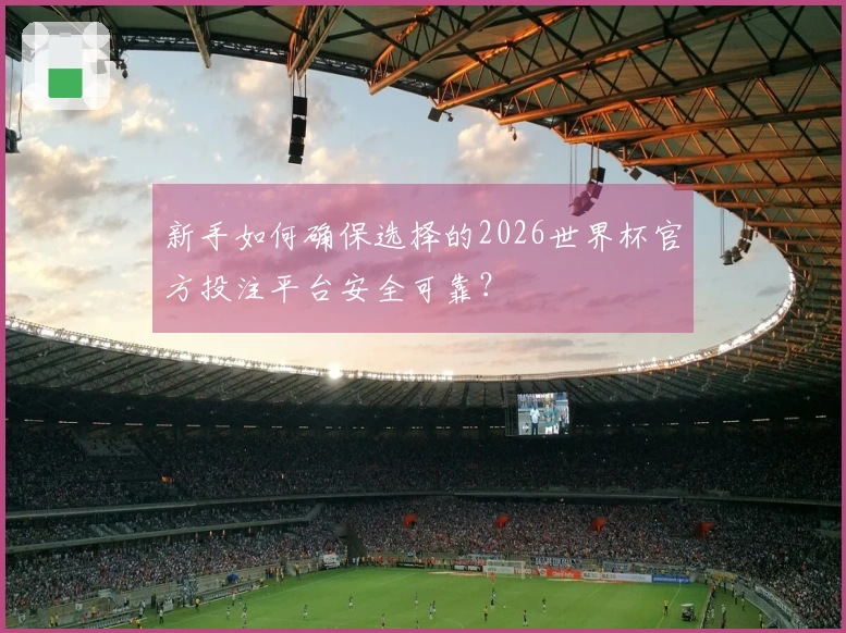 新手如何确保选择的2026世界杯官方投注平台安全可靠？