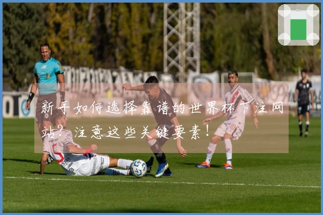 新手如何选择靠谱的世界杯下注网站？注意这些关键要素！