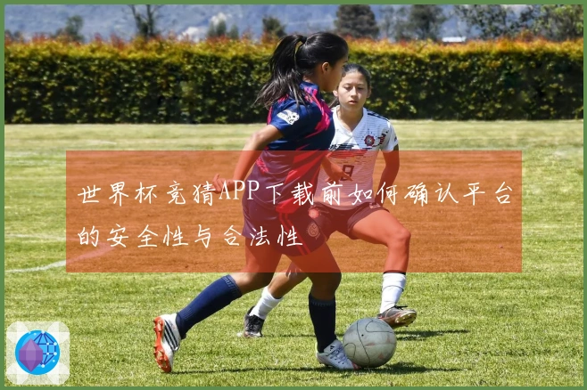 世界杯竞猜APP下载前如何确认平台的安全性与合法性