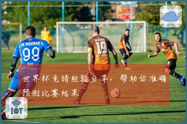 世界杯竞猜经验分享，帮助你准确预测比赛结果