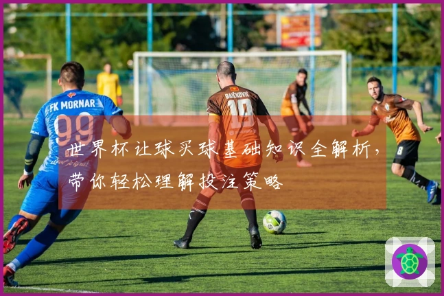 世界杯让球买球基础知识全解析，带你轻松理解投注策略
