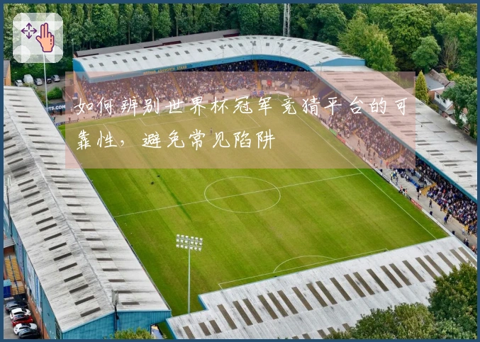 如何辨别世界杯冠军竞猜平台的可靠性，避免常见陷阱