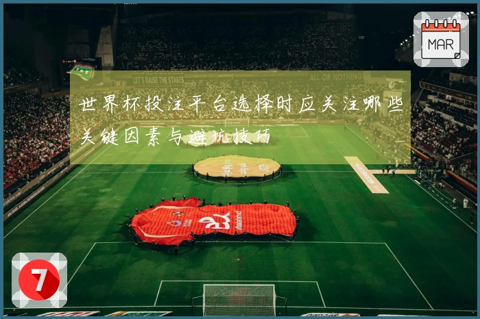 世界杯投注平台选择时应关注哪些关键因素与避坑技巧