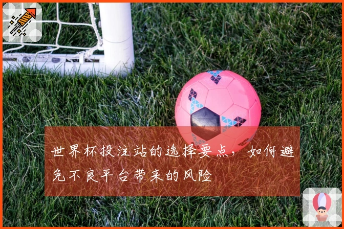 世界杯投注站的选择要点，如何避免不良平台带来的风险