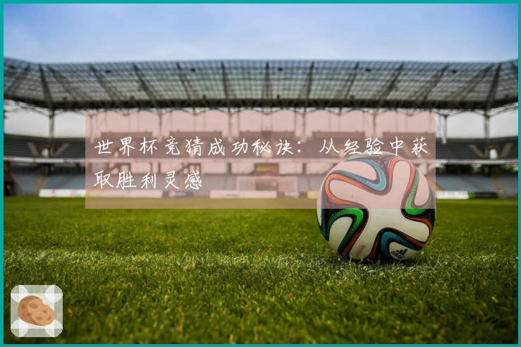 世界杯竞猜成功秘诀:从经验中获取胜利灵感