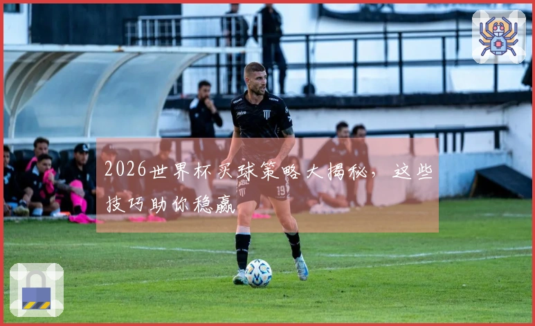 2026世界杯买球策略大揭秘，这些技巧助你稳赢