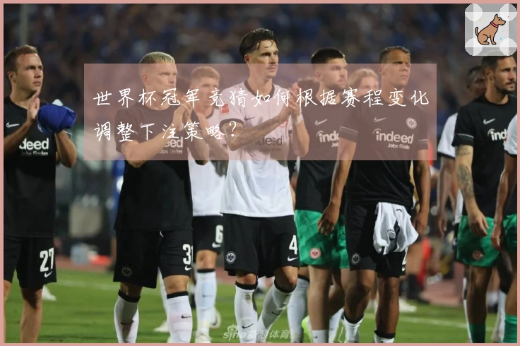 世界杯冠军竞猜如何根据赛程变化调整下注策略？