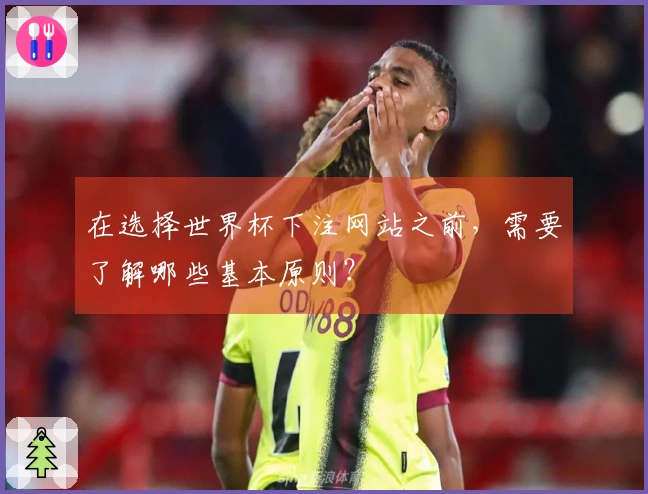 在选择世界杯下注网站之前，需要了解哪些基本原则？