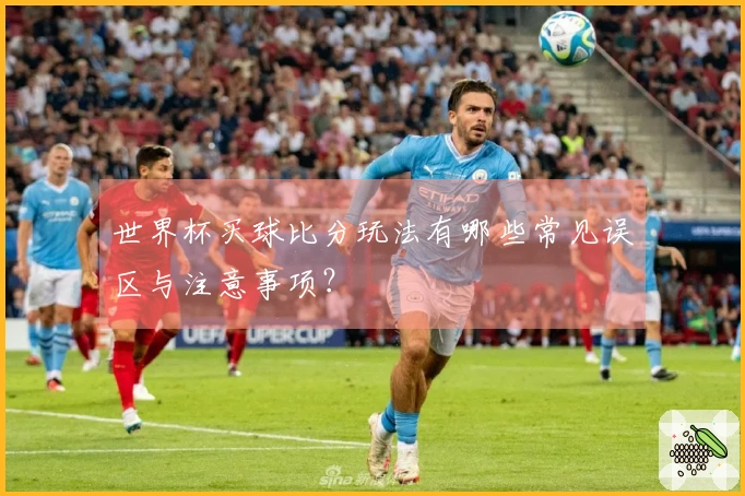 世界杯买球比分玩法有哪些常见误区与注意事项？