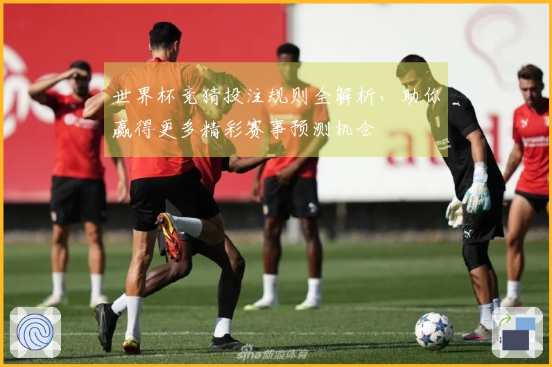 世界杯竞猜投注规则全解析，助你赢得更多精彩赛事预测机会