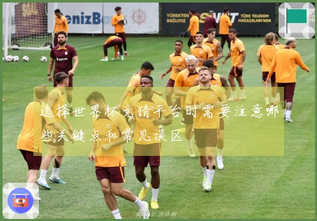 选择世界杯竞猜平台时需要注意哪些关键点和常见误区