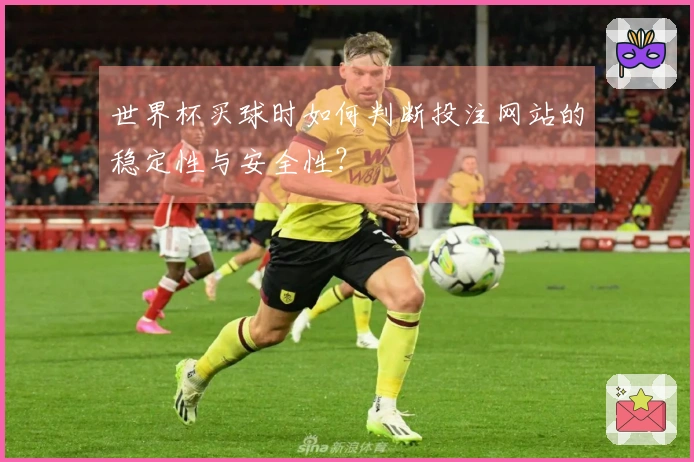 世界杯买球时如何判断投注网站的稳定性与安全性？