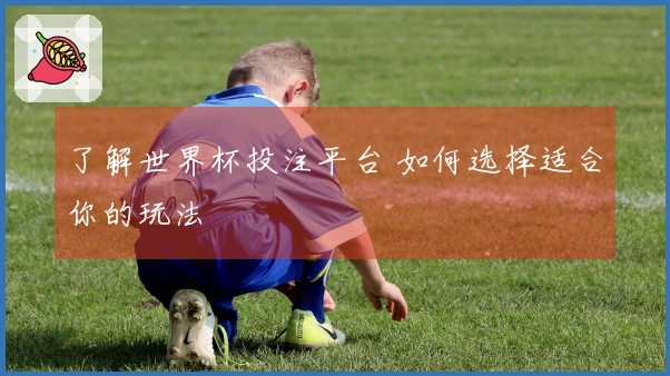 了解世界杯投注平台 如何选择适合你的玩法